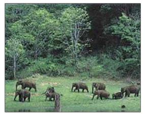 Kerala tour