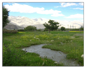 ladakh tour offroad travels