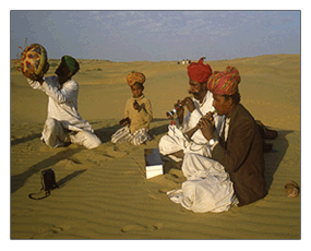 rajasthan tours