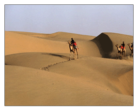 rajasthan tours