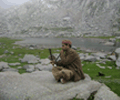 offroad travels india