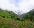 offroad travels india