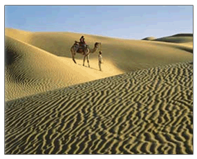 wildlife safari offroad travels